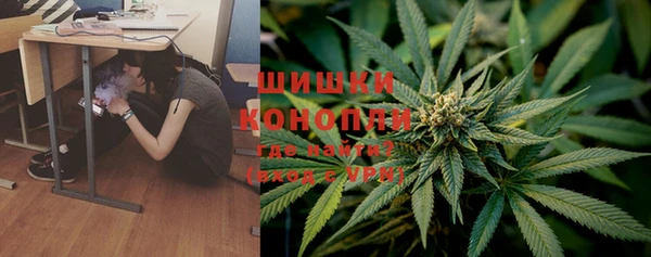 герыч Пересвет