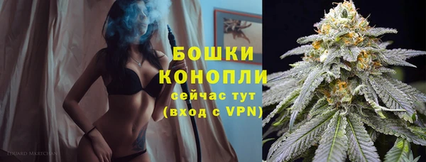 стафф Пестово