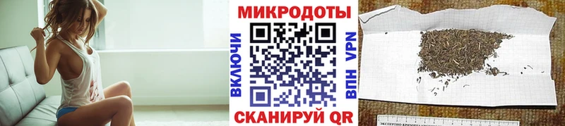 сколько стоит  Протвино  Псилоцибиновые грибы Psilocybine cubensis 