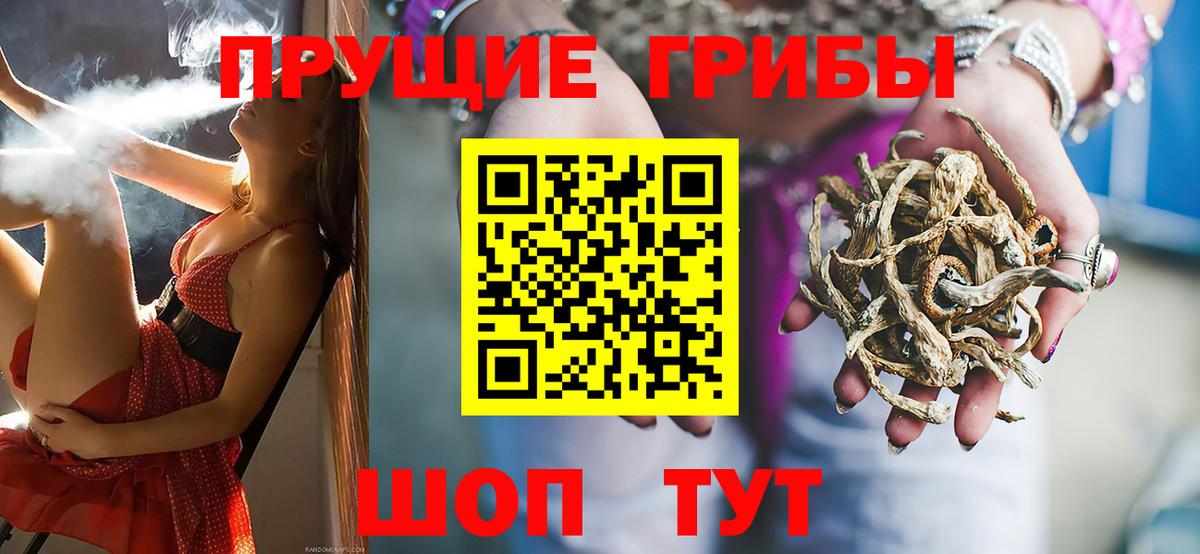 Галлюциногенные грибы мицелий Протвино
