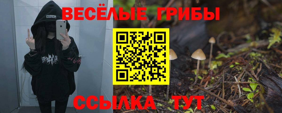 Псилоцибиновые грибы Cubensis  Вход с VPN  Протвино 